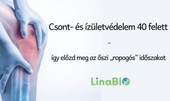 Csont- és ízületvédelem 40 felett – így előzd meg az őszi „ropogós” időszakot