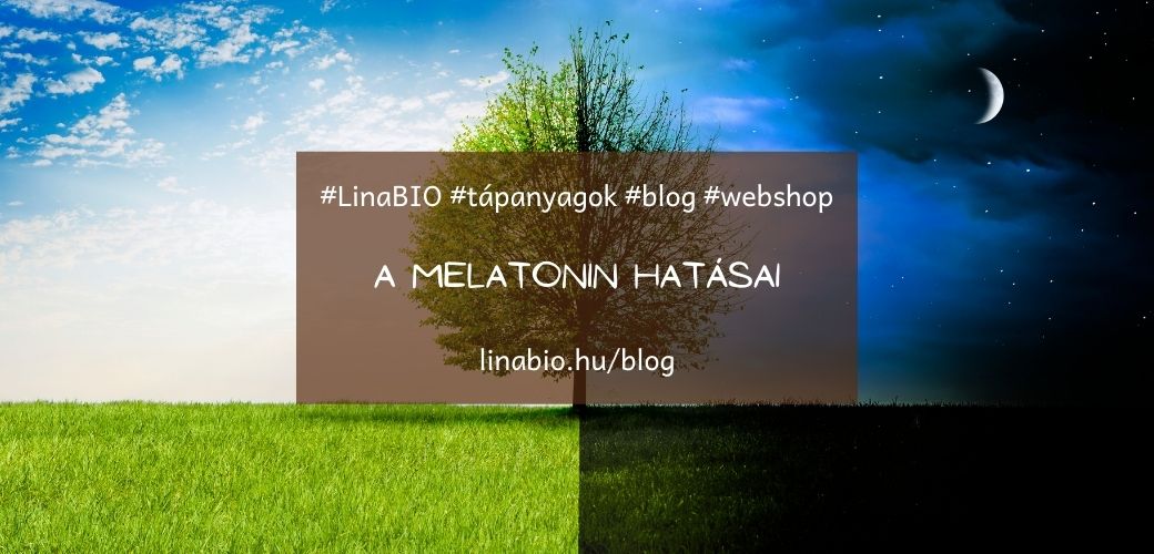 A melatonin hatásai A melatonin hatásai