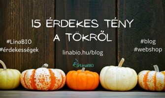 15 érdekes tény a tökről