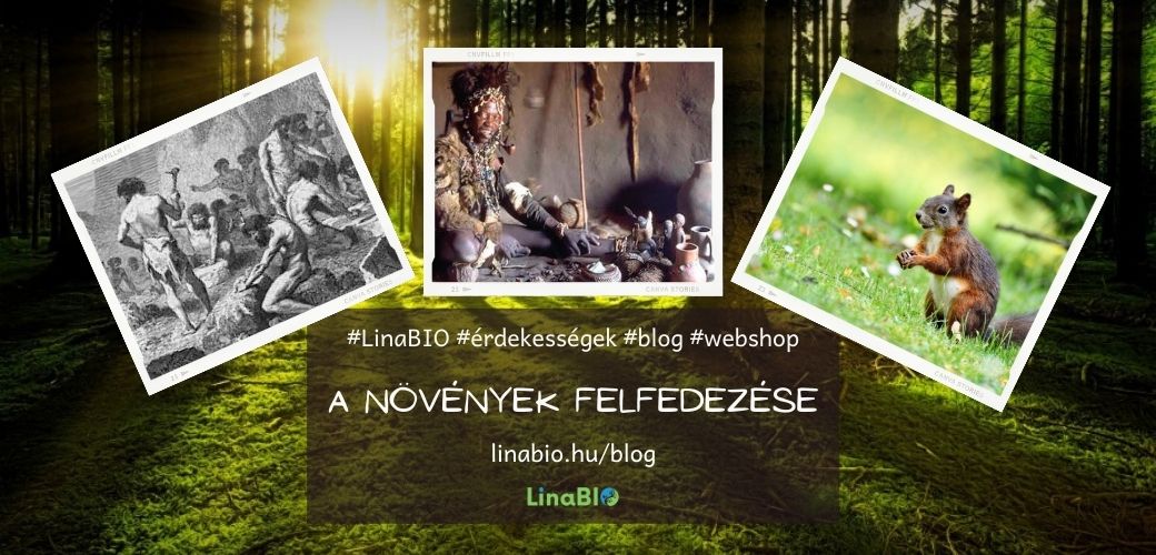 A növények felfedezése A növények felfedezése