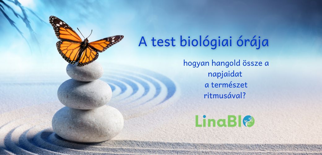 A test biológiai órája – hogyan hangold össze a napjaidat a természet ritmusával? A test biológiai órája – hogyan hangold össze a napjaidat a természet ritmusával?