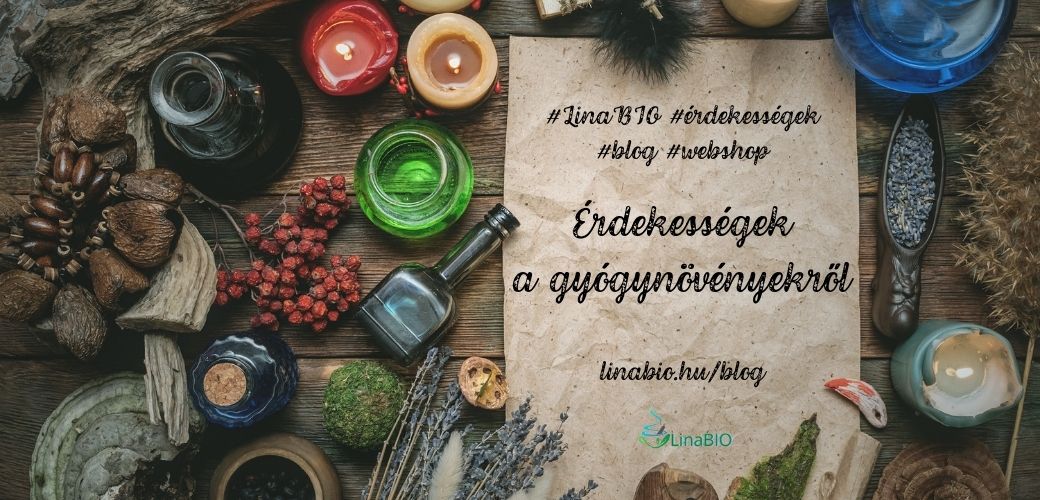 Érdekességek a gyógynövényekről Érdekességek a gyógynövényekről