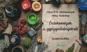 Érdekességek a gyógynövényekről
