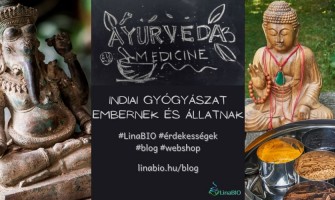 Ayurveda - Indiai gyógyászat