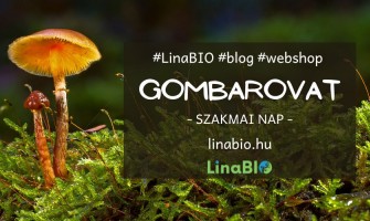 GombaRovat - Gyöngyösi Sándor Biogomba