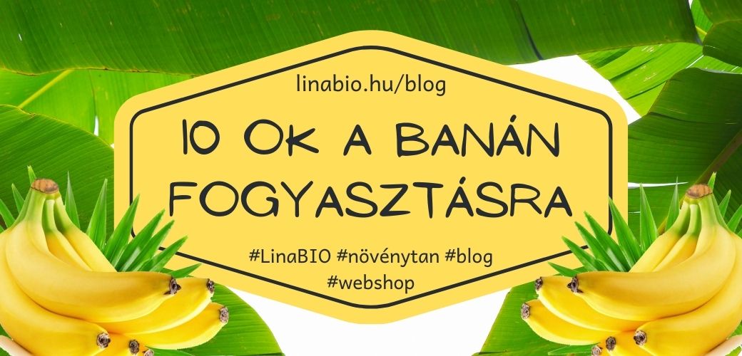 10 ok a banán fogyasztásra 10 ok a banán fogyasztásra