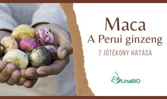 Maca - A Perui ginzeng