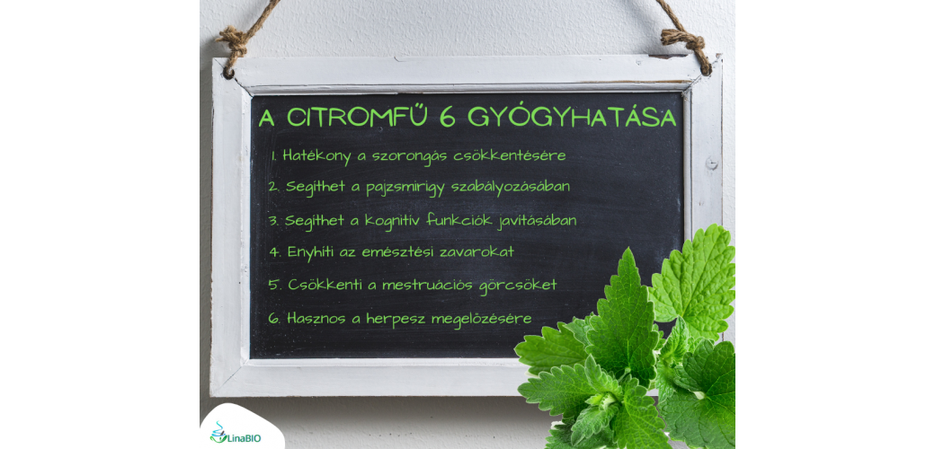 A citromfű 6 jótékony hatása A citromfű 6 jótékony hatása