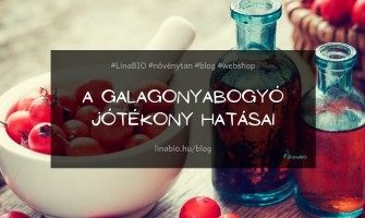 Galagonyabogyó jótékony hatásai