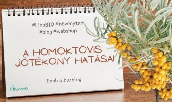 A homoktövis jótékony hatásai