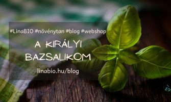A királyi bazsalikom