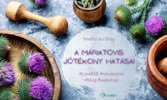 A máriatövis jótékony hatásai