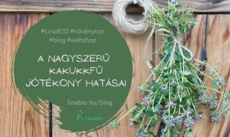 A kakukkfű jótékony hatásai