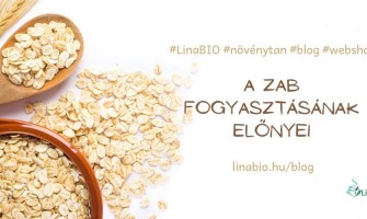 A zab és a zabpehely fogyasztásának előnyei