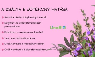 A Zsálya 6 jótékony hatása