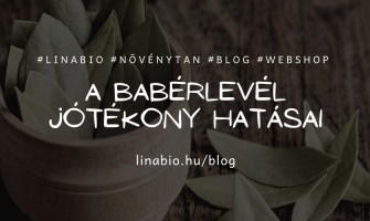 Babérlevél