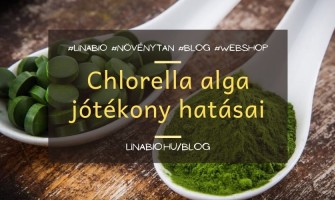 Chlorella alga jótékony hatásai
