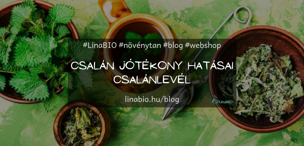 Csalán jótékony hatásai - Csalánlevél Csalán jótékony hatásai - Csalánlevél