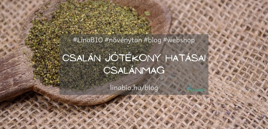 Csalán jótékony hatásai - Csalánmag