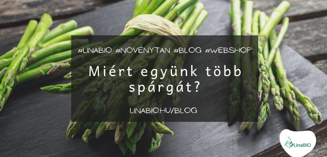 Miért együnk több spárgát? Miért együnk több spárgát?