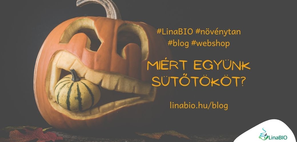 Miért együnk sütőtököt? Miért együnk sütőtököt?