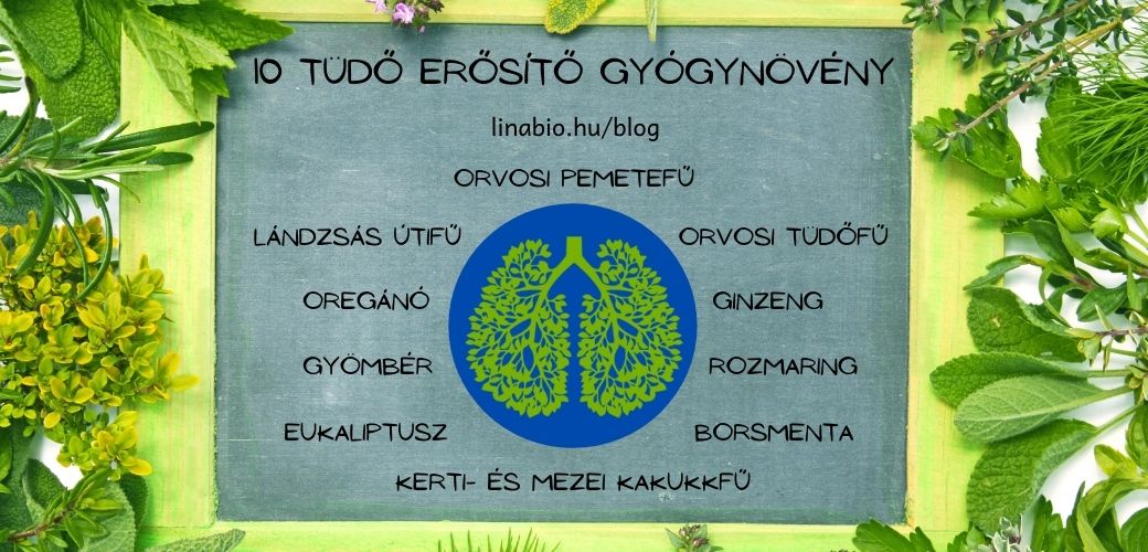 10 tüdőerősítő gyógynövény