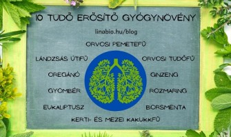 10 tüdőerősítő gyógynövény