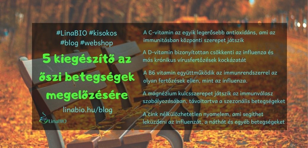 5 kiegészítő az őszi betegségek ellen 5 kiegészítő az őszi betegségek ellen