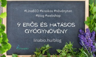 9 erős és hatásos gyógynövény