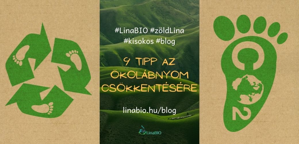 9 tipp az ökolábnyom csökkentésére 9 tipp az ökolábnyom csökkentésére