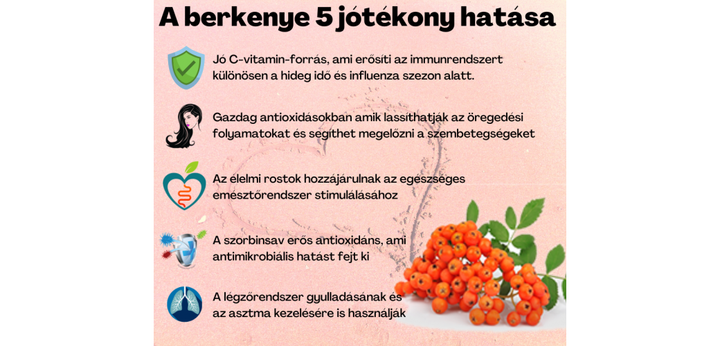 A Berkenye 5 jótékony hatása A Berkenye 5 jótékony hatása