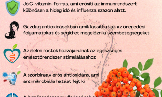 A Berkenye 5 jótékony hatása
