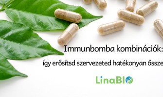 Immunbomba kombinációk: így erősítsd szervezeted hatékonyan ősszel