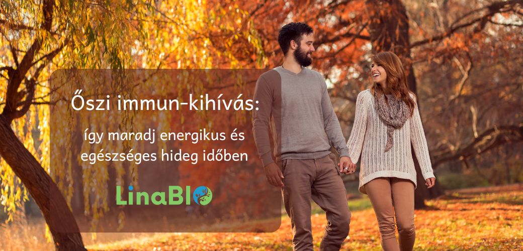Őszi immun-kihívás: így maradj energikus és egészséges hideg időben Őszi immun-kihívás: így maradj energikus és egészséges hideg időben