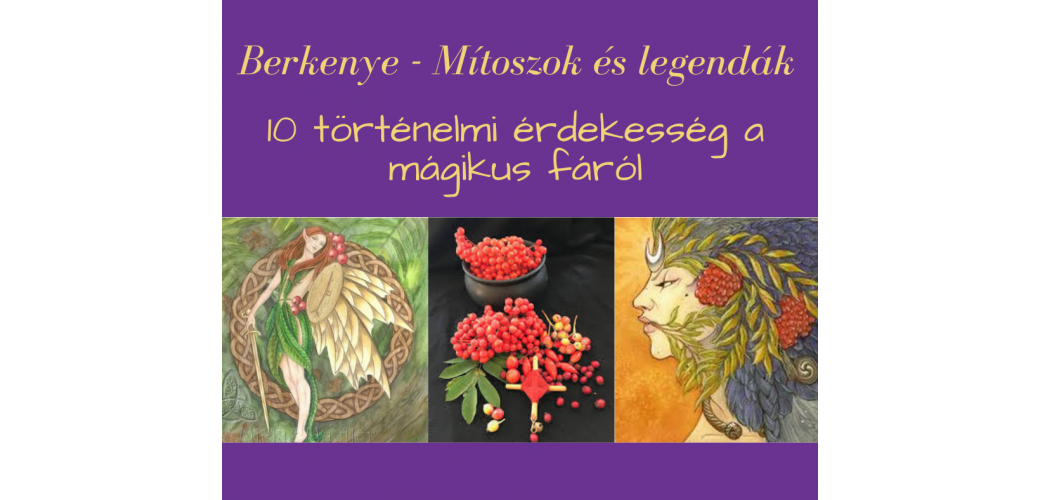 10 történelmi érdekesség a berkenyéről