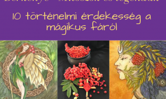 10 történelmi érdekesség a berkenyéről