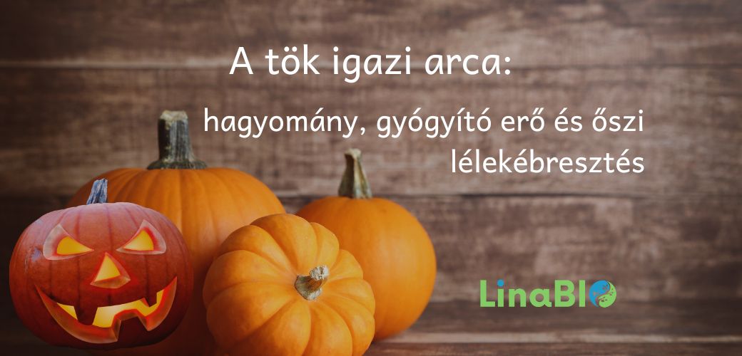 A tök igazi arca: hagyomány, gyógyító erő és őszi lélekébresztés A tök igazi arca: hagyomány, gyógyító erő és őszi lélekébresztés