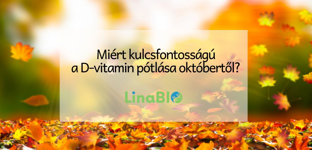 Miért kulcsfontosságú a D-vitamin pótlása októbertől? Miért kulcsfontosságú a D-vitamin pótlása októbertől?