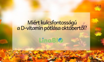 Miért kulcsfontosságú a D-vitamin pótlása októbertől?