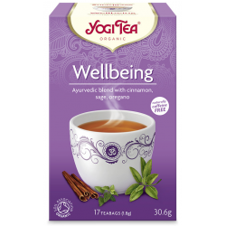 Yogi Tea Bio Jól Közérzet Tea 17 filter
